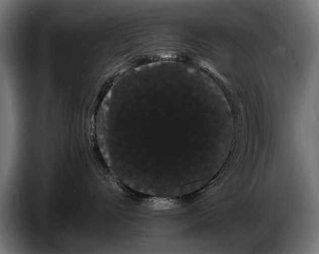 X0000086090528200704132128