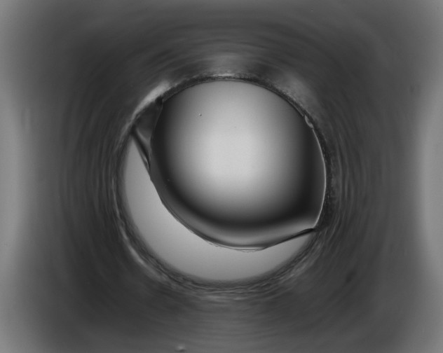 X0000086090530200704132127