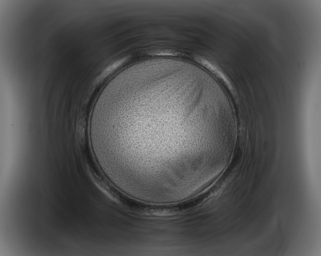 X0000086090533200704132127