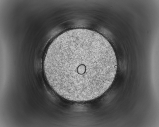 X0000086090534200704132127