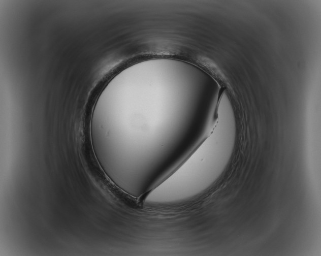 X0000086090536200704132127