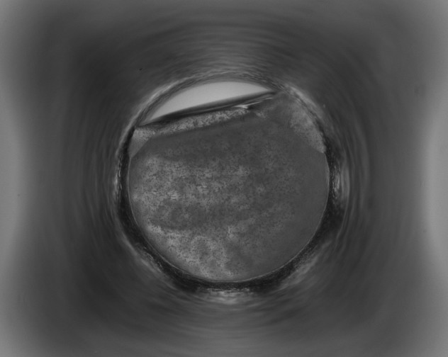 X0000086090540200704132128