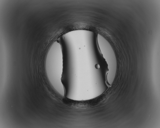 X0000086090546200704132128