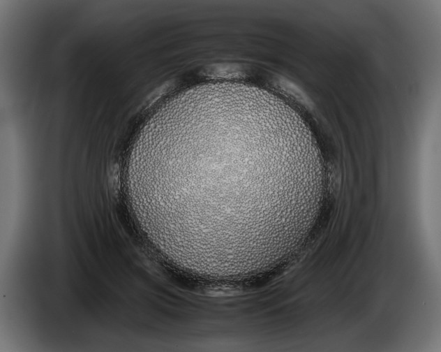 X0000086090549200704132128