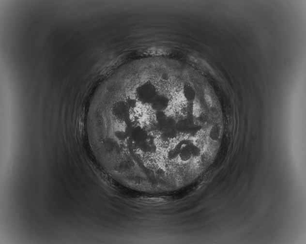 X0000086090553200704132128