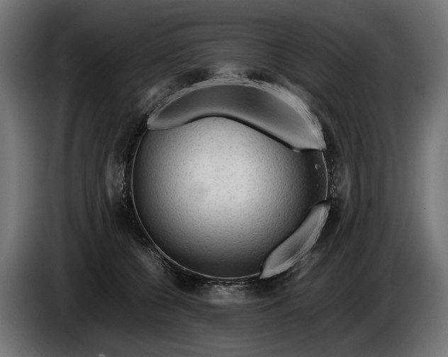 X0000086090560200704132128