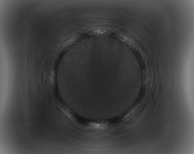 X0000086090563200704132128