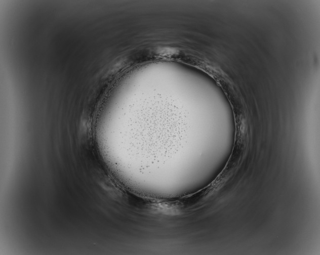 X0000086090565200704132128