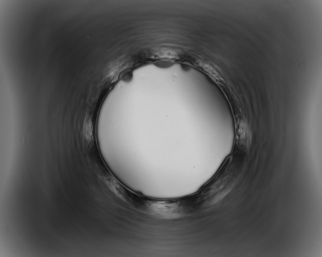 X0000086090568200704132128