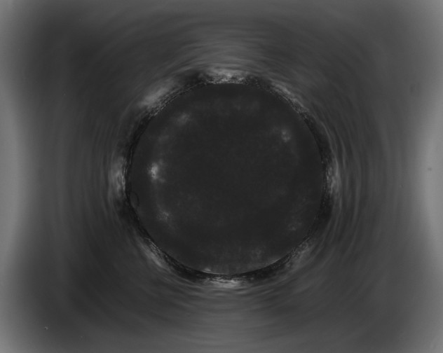 X0000086090570200704132128