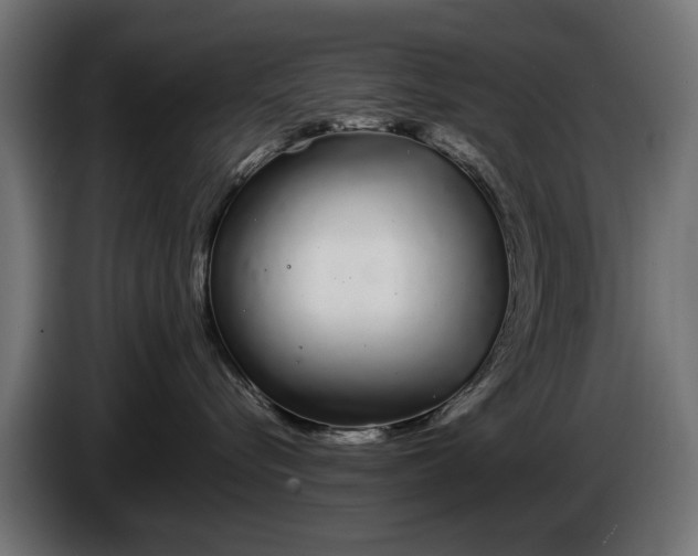 X0000086090576200704132128