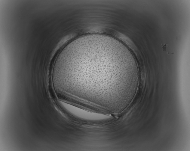 X0000086090578200704132127