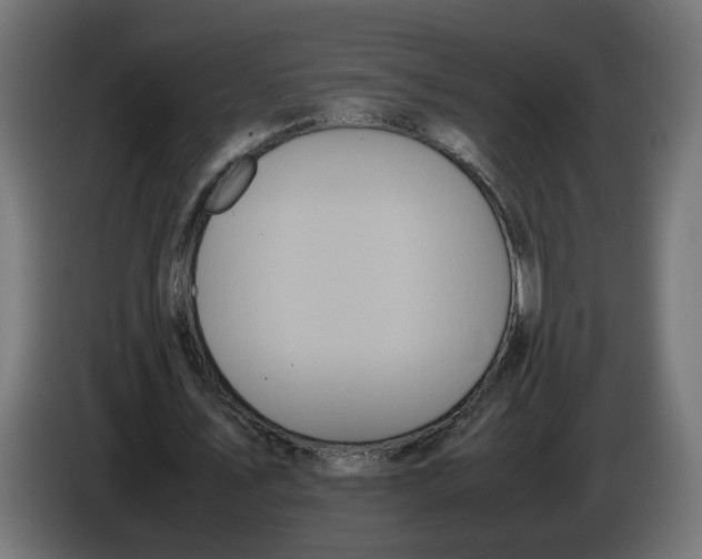 X0000086090579200704132127