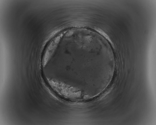 X0000086090581200704132127