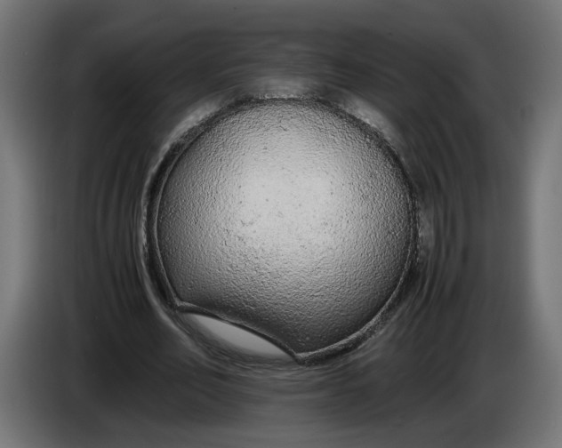 X0000086090582200704132127