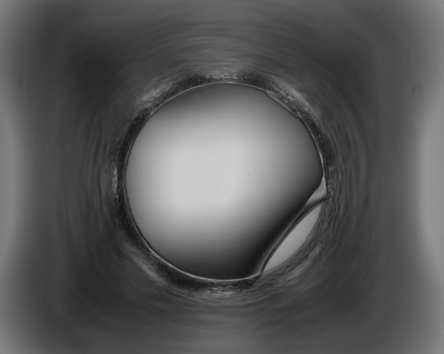 X0000086090589200704132127