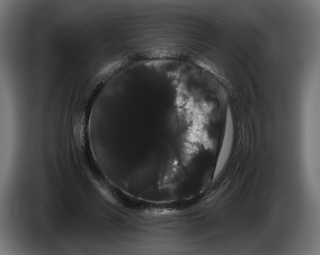 X0000086090590200704132127