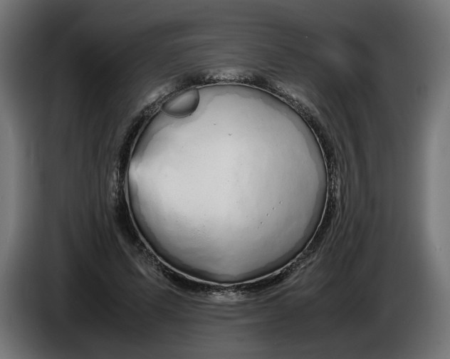 X0000086090591200704132127