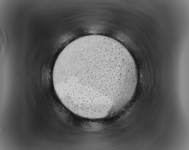 X0000086090592200704132127