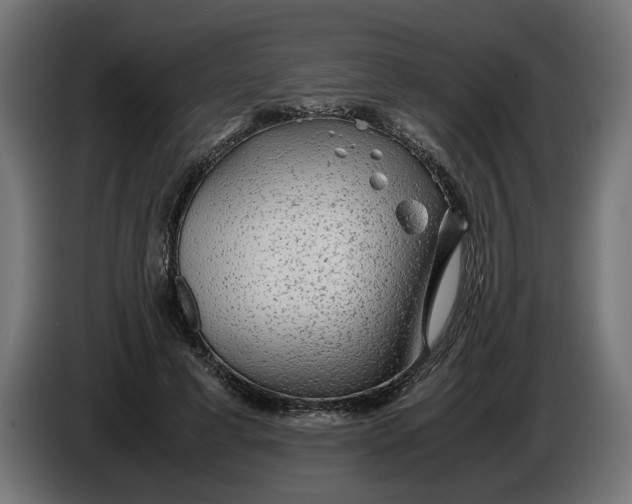 X0000086090593200704132127