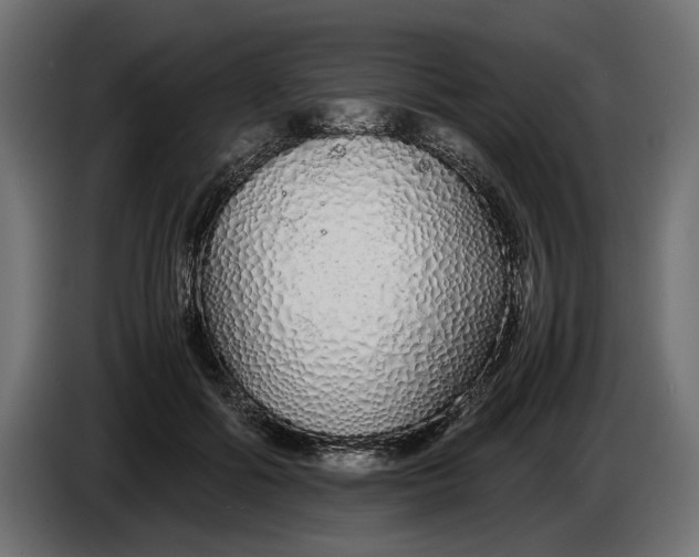 X0000086090602200704132127