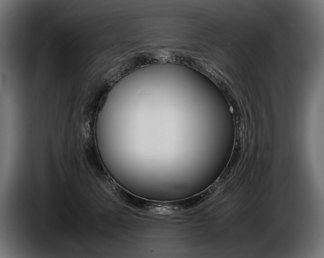 X0000086090611200704132127