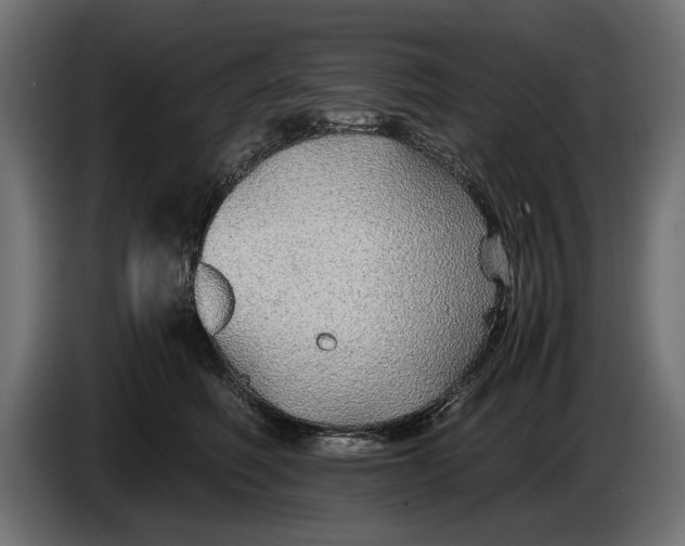 X0000086090614200704132127