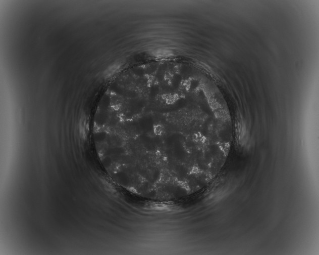 X0000086090618200704132127