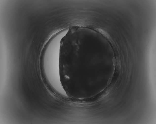 X0000086090626200704132126