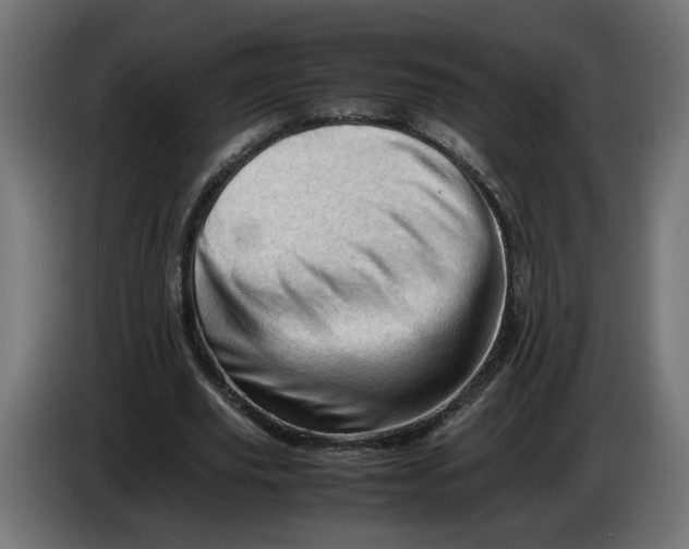 X0000086090629200704132126