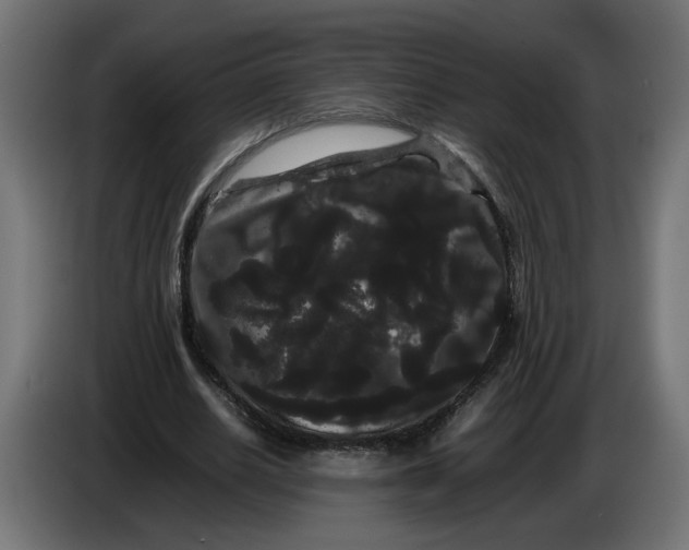 X0000086090630200704132126