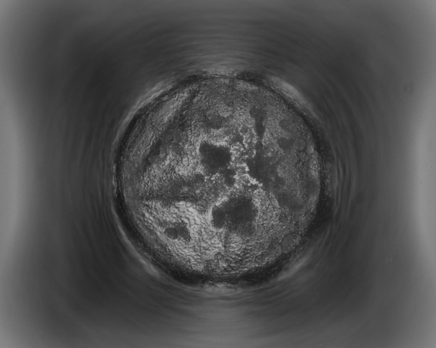 X0000086090634200704132126