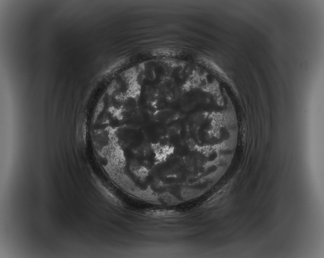 X0000086090637200704132126