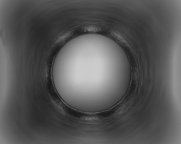 X0000086090639200704132126