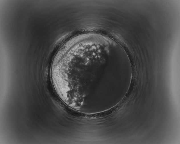 X0000086090640200704132126