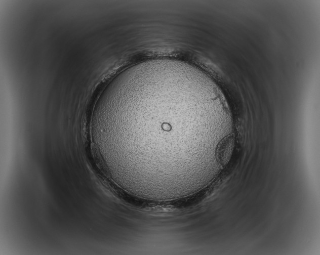 X0000086090642200704132126