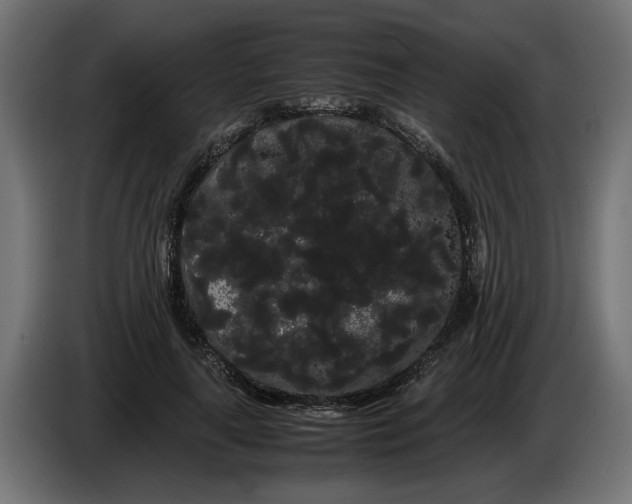 X0000086090643200704132126