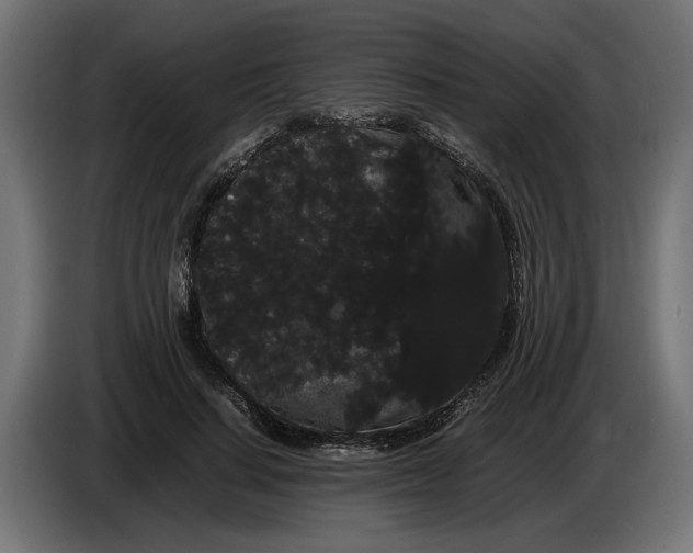 X0000086090644200704132126