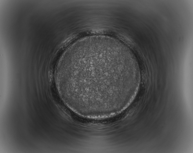 X0000086090648200704132126