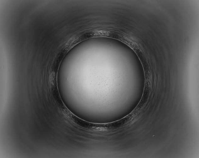 X0000086090649200704132126