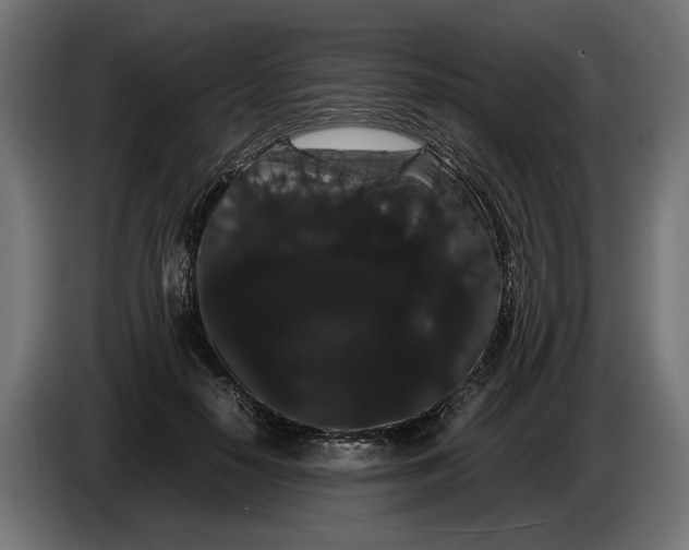 X0000086090650200704132126