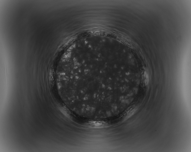 X0000086090654200704132126