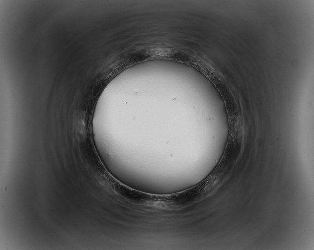 X0000086090655200704132126