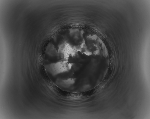 X0000086090659200704132126