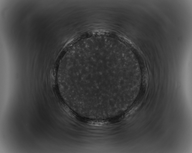 X0000086090661200704132127