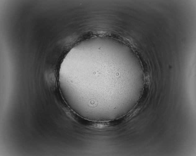 X0000086090662200704132127