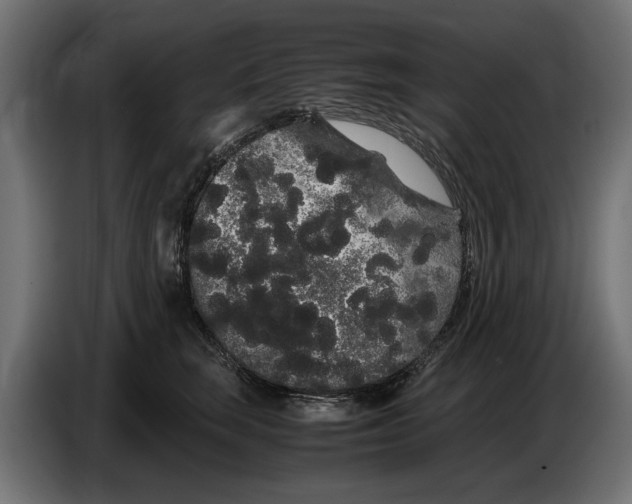 X0000086090663200704132127