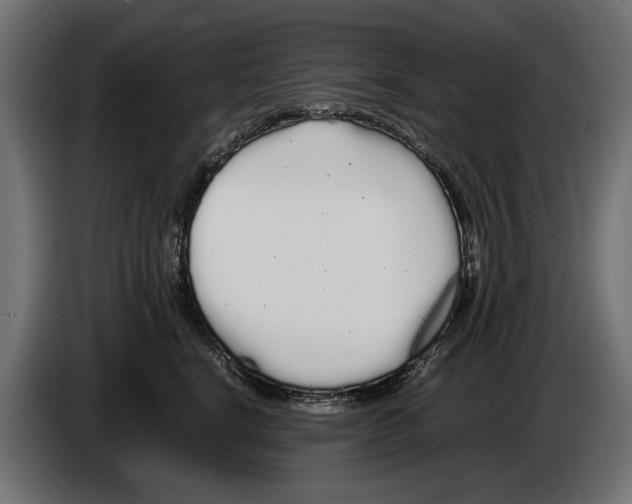 X0000086090664200704132127