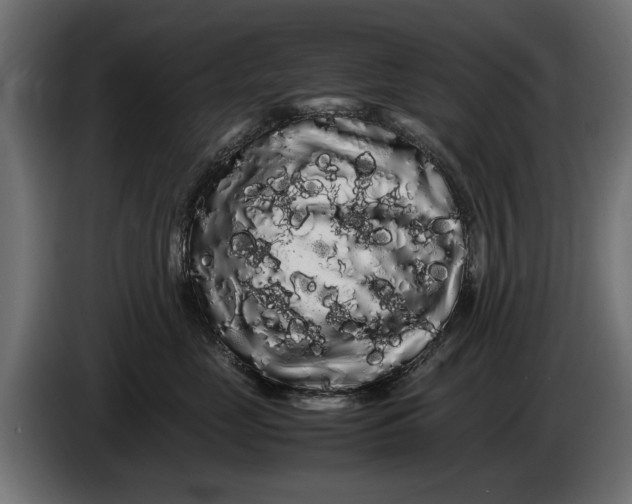 X0000086090669200704132127