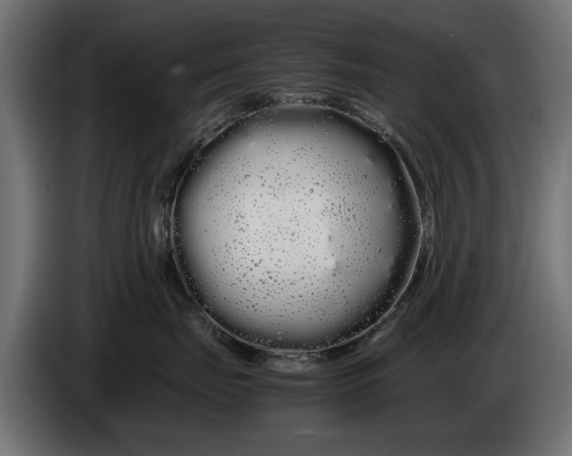 X0000086090671200704132127